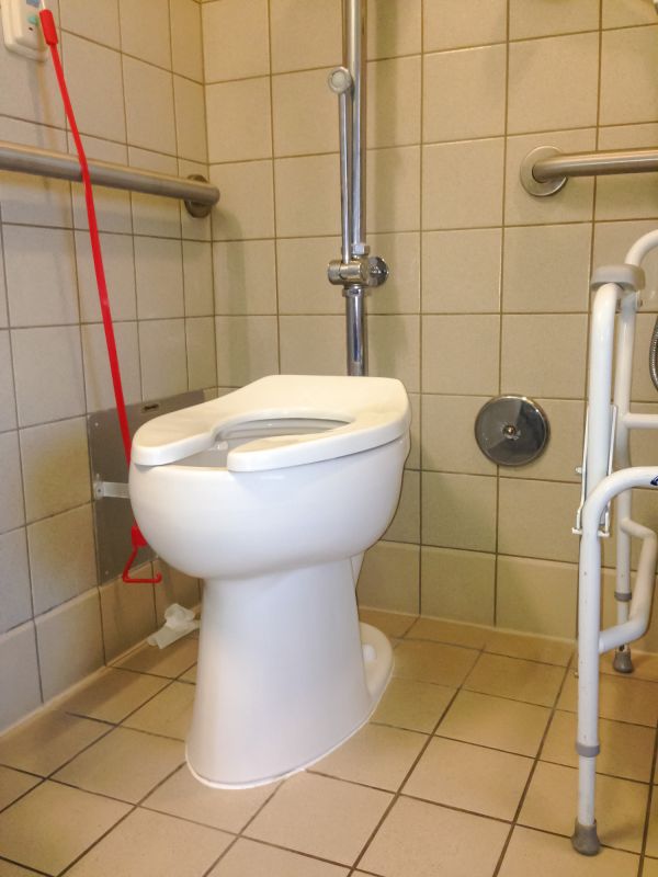 Accessible Toilet Installation